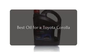 Best Oil for a Toyota Corolla